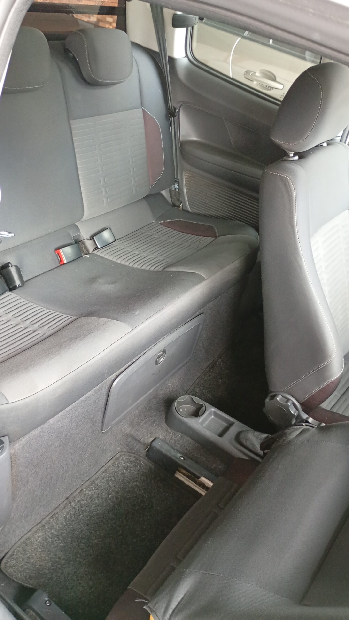 IMG_20260306_082903806_MFNR